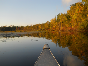 Canoeing the Lake